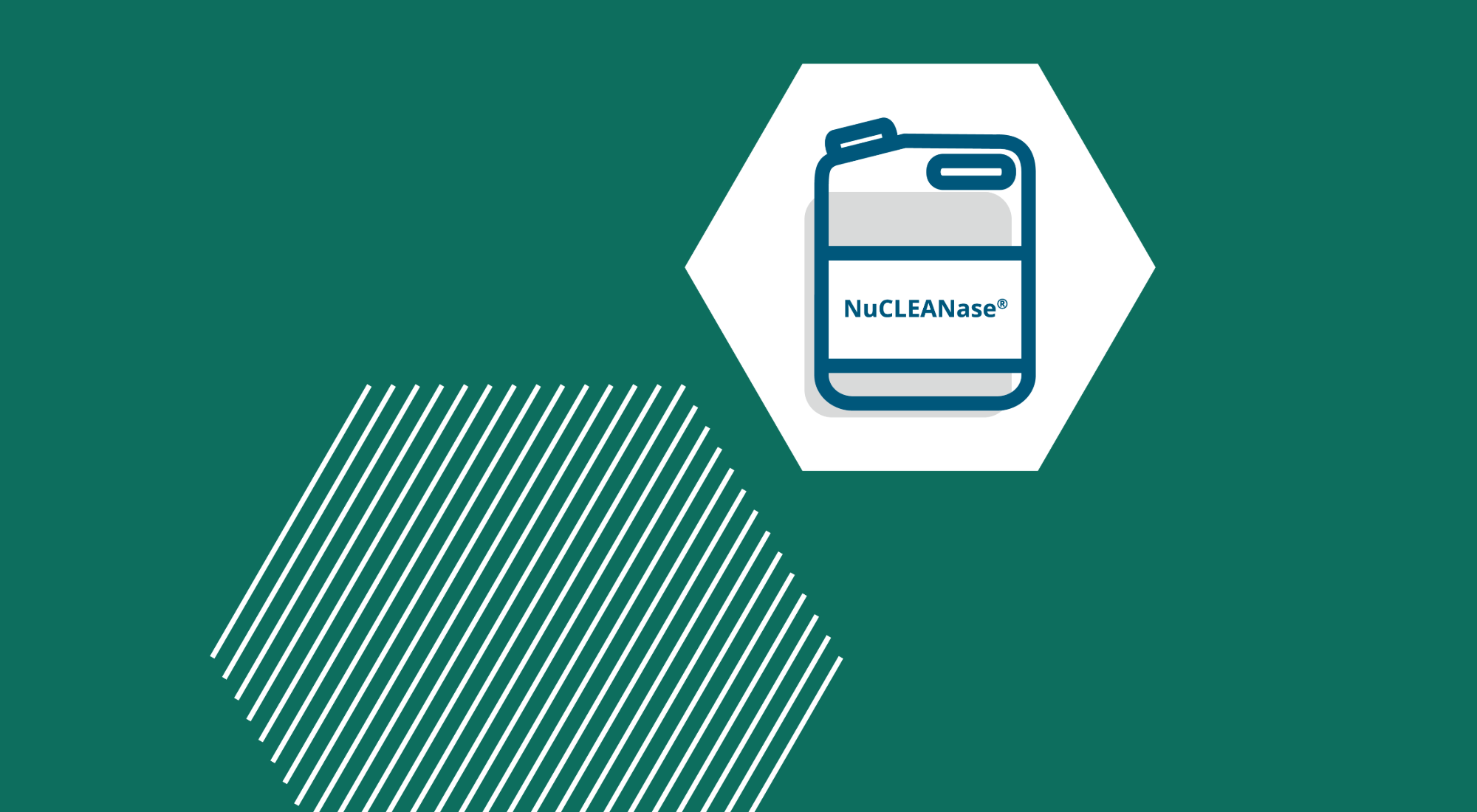 NuCLEANase_Website_Theme Banner-1